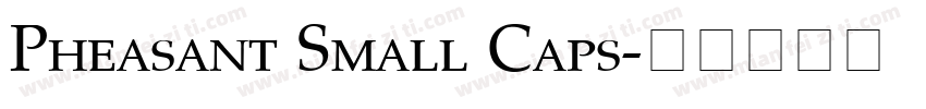 Pheasant Small Caps字体转换